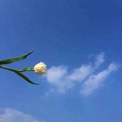 绝世天尊游戏6873版下载